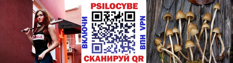Псилоцибиновые грибы мицелий  Верхотурье 