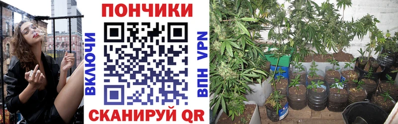 цены   Верхотурье  Бошки марихуана сатива 
